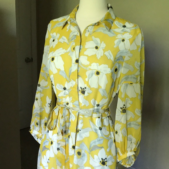 Banana Republic- Size 4 High/Low Dress - Picture 4 of 8